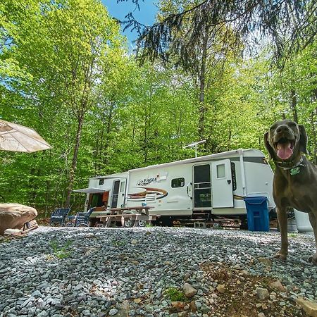 Rv Adventure Roscoe Pet Friendly 호텔 외부 사진