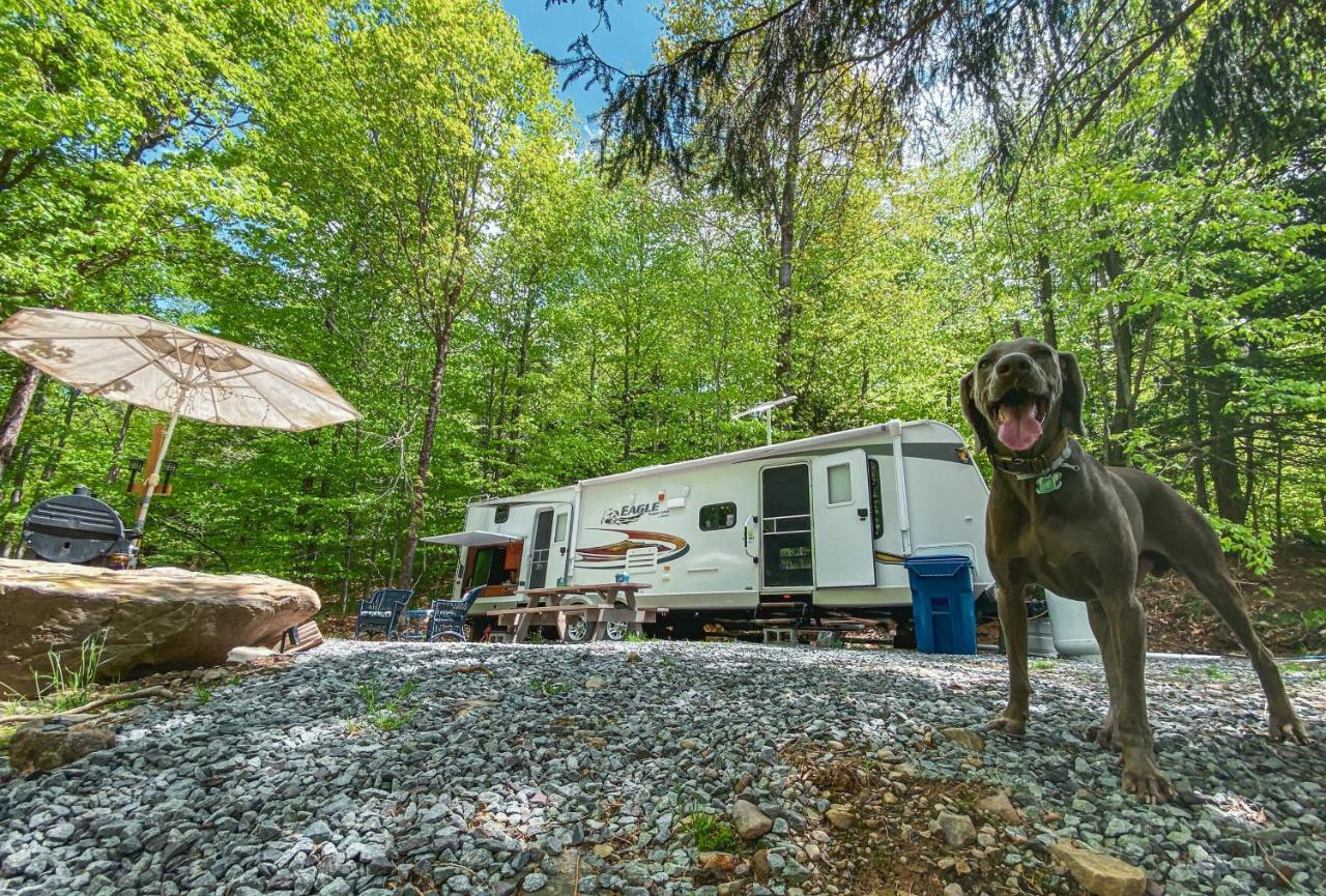 Rv Adventure Roscoe Pet Friendly 호텔 외부 사진